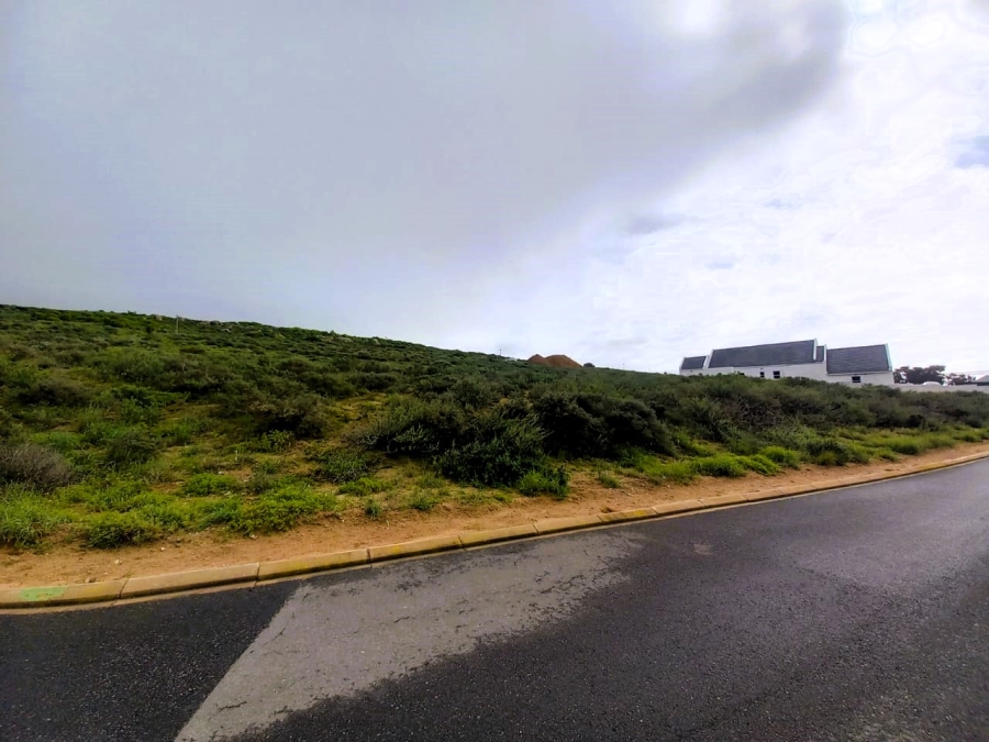 0 Bedroom Property for Sale in Britannica Heights Western Cape